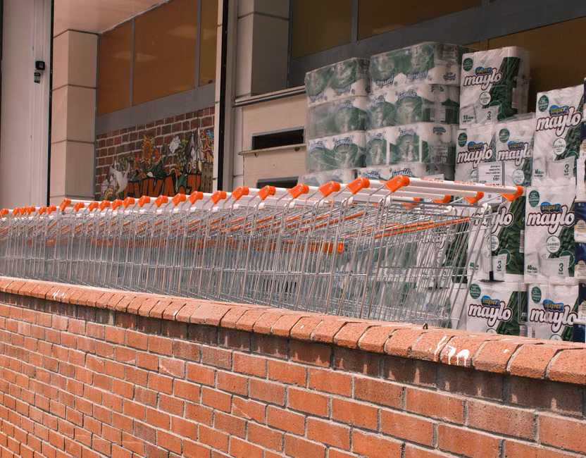 Papel Higiênico (12 rolos)